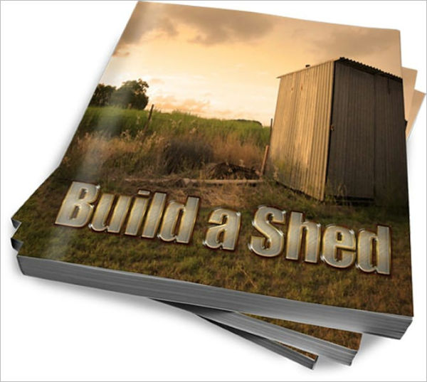 Shed Building 101 For Beginners And Pros
