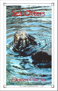 Sea Otters: Clowns of the Sea
