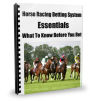 Horse Racing Betting System Essentials What To Know Before You Bet