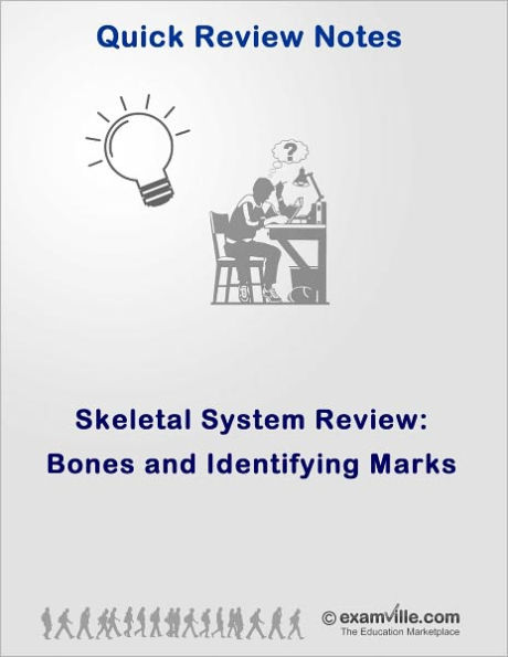 Bones and Identifying Marks (Skeletal System Review)
