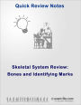 Bones and Identifying Marks (Skeletal System Review)