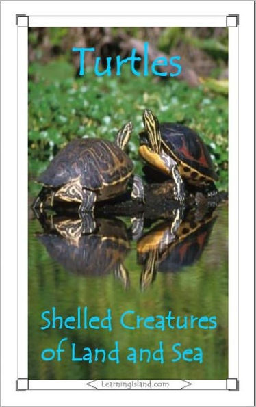 Turtles: Shelled Creatures of Land and Sea