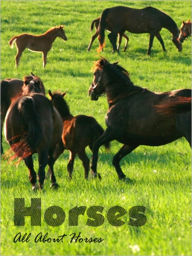 Title: Horses: All About Horses, Author: James Mitchell
