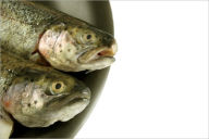 Trout Fishing: The Trout Tips, Tricks & Techniques You Need to Know