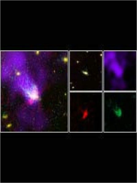 Too Fast, Too Furious: A Galaxy's Fatal Plunge