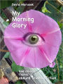 My Morning Glory and other flashes of absurd science fiction