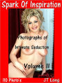 Spark Of Inspiration: Photographs of Intimate Seduction Volume II