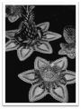 PATTERN #2081 PINEAPPLES VINTAGE CROCHET