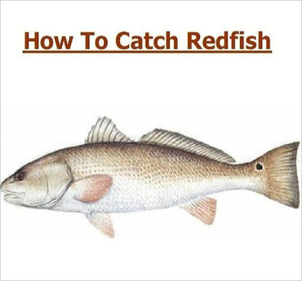 Fishing - Knowledge and Know How to Catch Redfish
