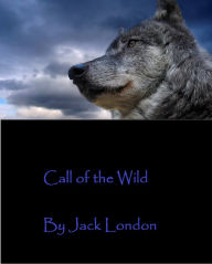 Internet & World Wide Web: 99 Cent Call of the Wild