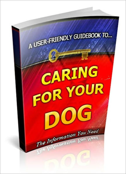 Caring For Your Lovely Dog