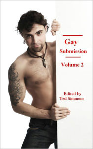 Gay Erotica Short Stories 114