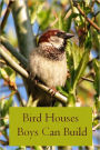 Bird Houses Boys Can Build (Illustrated)