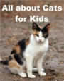 All about Cats