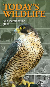 Title: Today's Wildlife Field Identification Guide, Author: Kalkomey