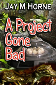 A Project Gone Bad