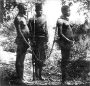 The Exciting, True, and Adventurous Slave Narratives of Three Fugitive Slaves