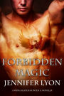 Forbidden Magic (Wing Slayer Hunter Series Novella)