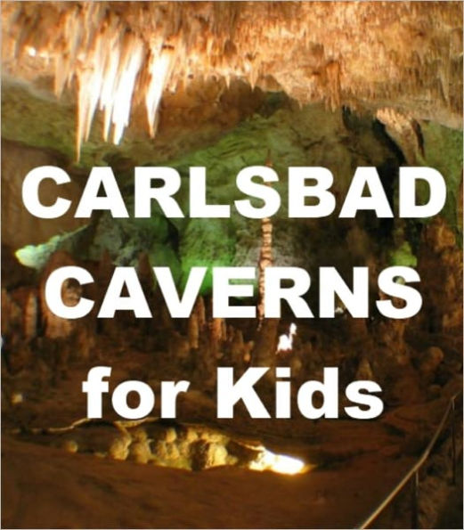 Carlsbad Caverns for Kids