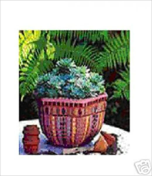 Getting Started with Mosaics An Illustrated Guide by Anonymous eBook