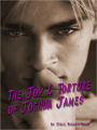 The Joy & Torture of Joshua James