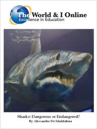 Sharks: Dangerous or Endangered?