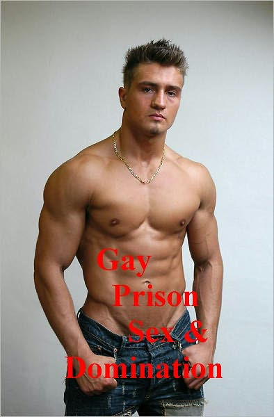 Gay Jail Sex Stories 30