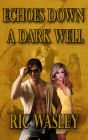 Echoes Down a Dark Well