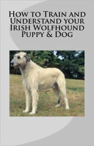 How to Train and Understand your Irish Wolfhound Puppy & Dog