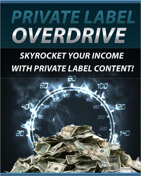 Private Label Overdrive: Skyrocket Your Income With Private Label Content