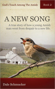 Title: God's Touch Among The Amish Book 2, Author: Dale Schmucker