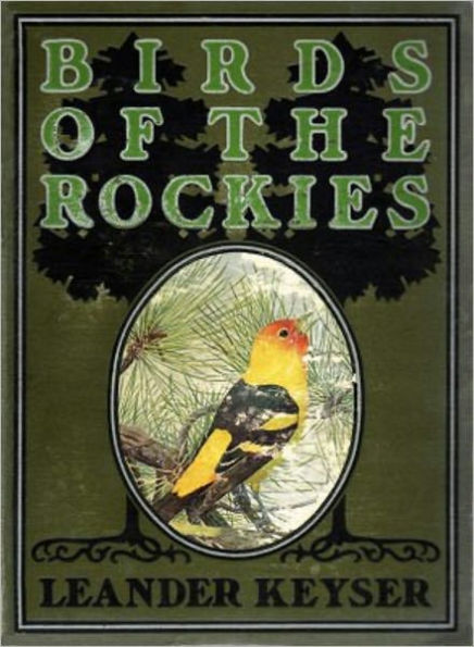 Birds Of The Rockies