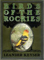 Birds Of The Rockies