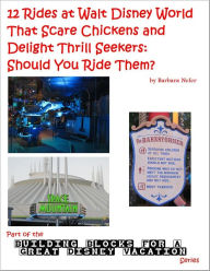Title: 12 Rides at Walt Disney World That Scare Chickens and Delight Thrill Seekers: Should You Ride Them?, Author: Barbara Nefer