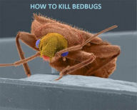 Psychology & Self Help: HOW TO KILL BED BUGS ( poker, bugbear, bugaboo, bug, bug, weakness, dereliction, Failing, Flaw, weak side )