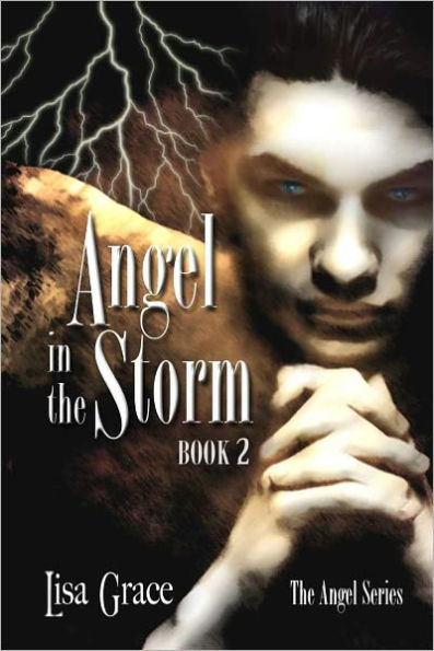 Angel in the Storm, Book 2 by Lisa Grace