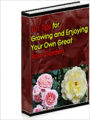 101 Tips For Growing And Enjoying Your Own Great Roses!