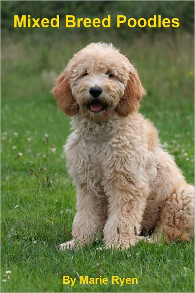 great poodle mixes