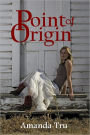 Point of Origin: Book Three (Tru Exceptions, Christian Romantic Suspense)