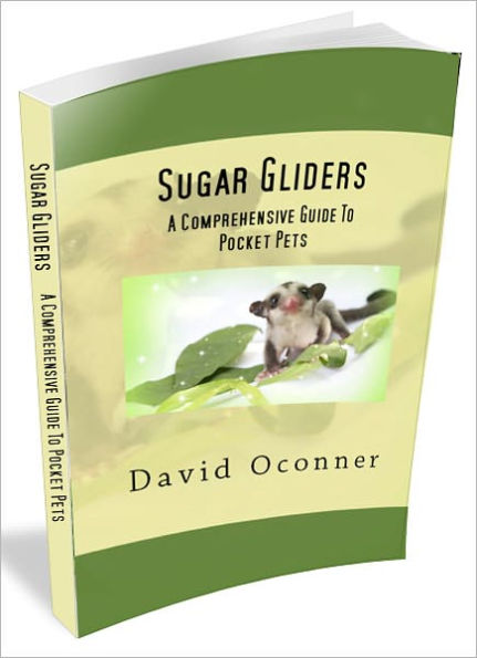 Sugar Gliders: A Comprehensive Guide To Pocket Pets