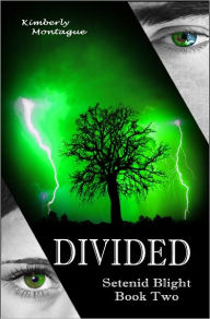 Divided: Setenid Blight Book Two