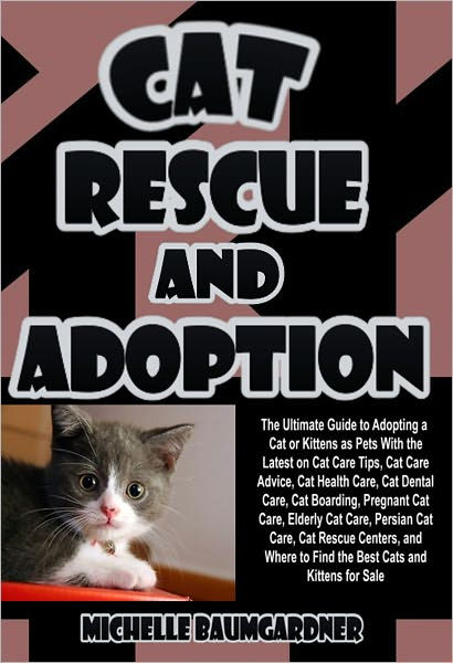 Tips for Adopting a Cat