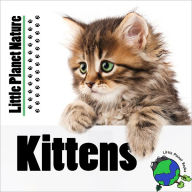 Title: Little Planet Nature: Kittens, Author: Rebecca Smith