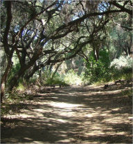 Title: Concrete and Dirt: Stories of Life's Trials and Nature's Trails, Author: C. Mahoney