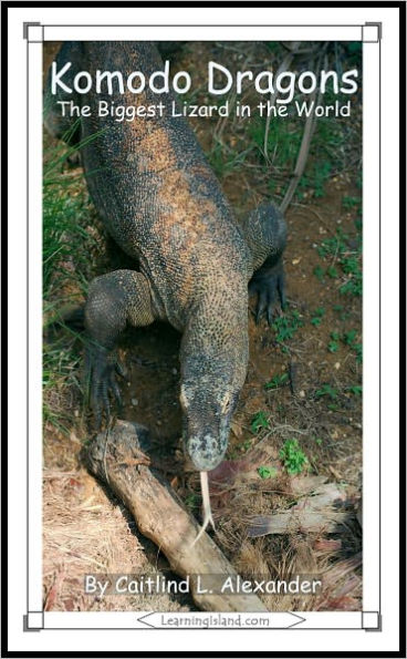 Komodo Dragons: The Biggest Lizard in the World