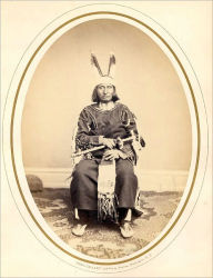 Title: The Illustrated History of the Sioux War and Massacres of 1862 and 1863, Author: Isaac V. D. Heard