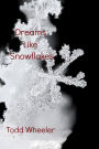 Dreams Like Snowflakes