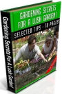 Discover DIY Gardening Secrets For A Lush Garden! - Tips and techniques as set forth in this amazing gardening eBook.
