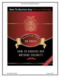 Title: FYI about How To Survive Any Natural Calamity - What Will Happen During a Hurricane? (Hurricane Sandy Survive eBook), Author: eBook on