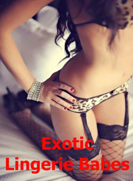 Exotic Lingerie Babes: A Fantastic Photo Collection Of Very Beautiful Women  In Very Sexy And Exotic Lingerie! AAA+++ by Bdp, eBook